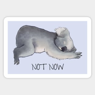 Koala Sketch - Not Now - Lazy animal Sticker